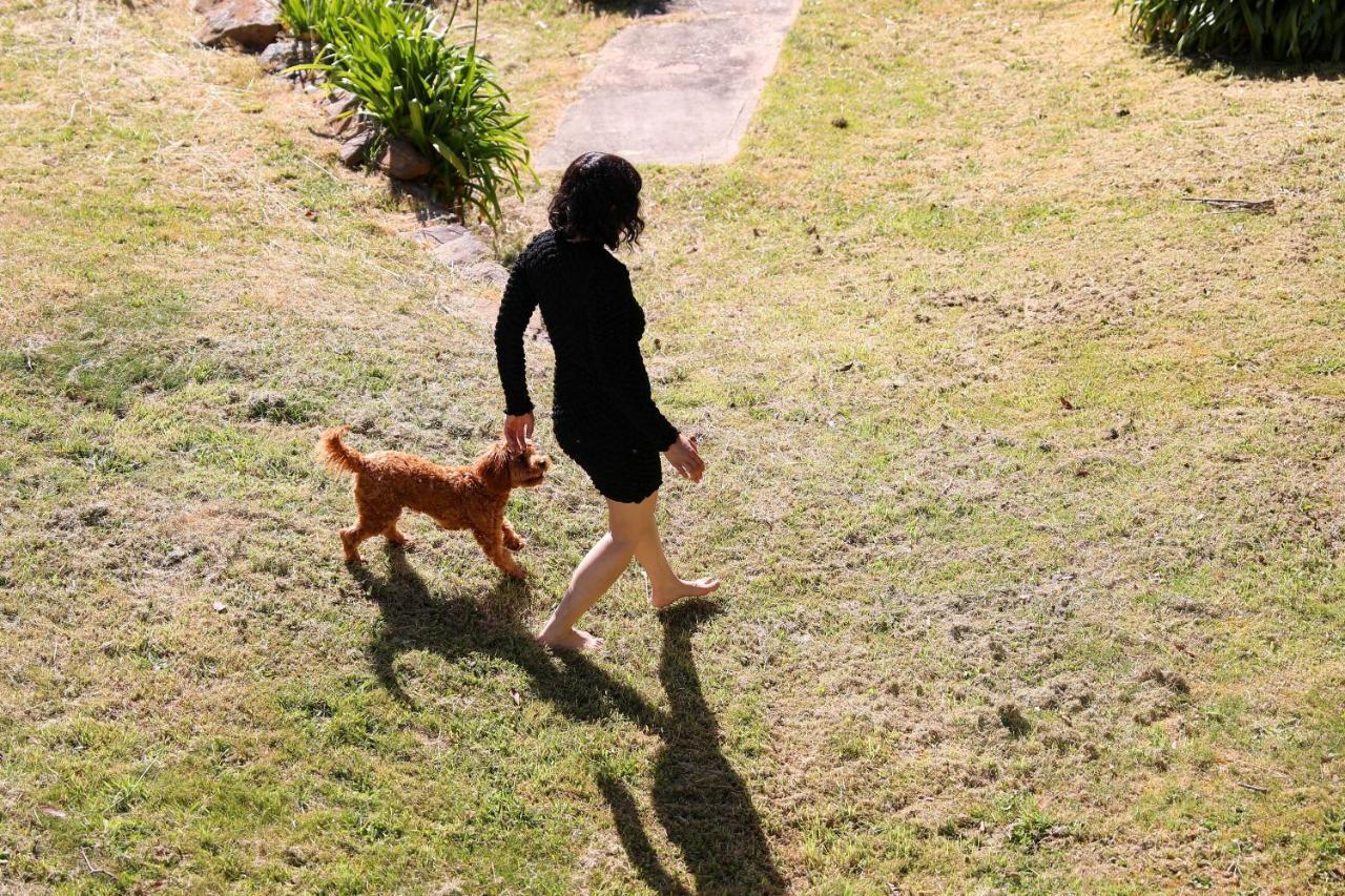 Megalong Valley Lookout Holiday home